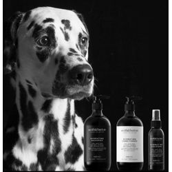 Smith&Burton BIO feuchtigkeitsspendendes Shampoo für Hunde und Katzen mit Kiwi, Aloe Vera, Manukahonig, Ginseng und Kokosnuss