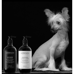 Smith&Burton BIO beruhigender Conditioner für Hunde und Katzen mit Minzbalsam, Kamille, Haferflocken, Rosmarin und Manukahonig